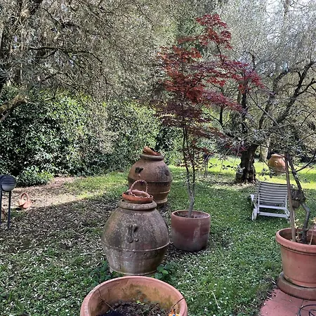 아파트 Garden Near Florence